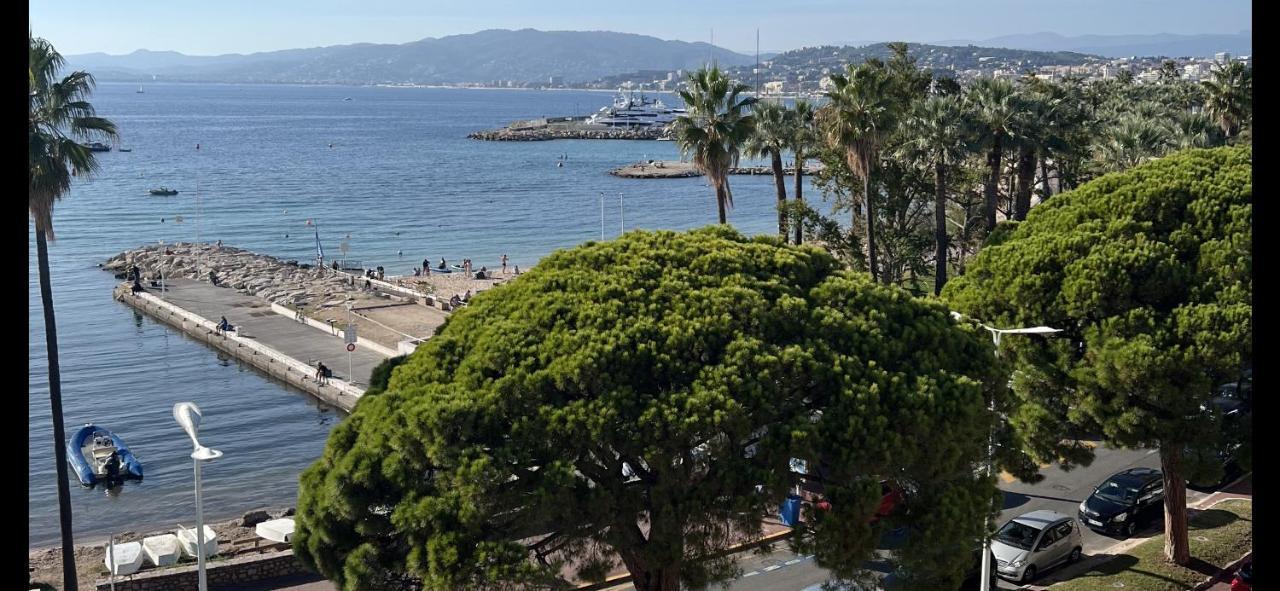 Palm Croisette Front De Mer1 Cannes Eksteriør billede